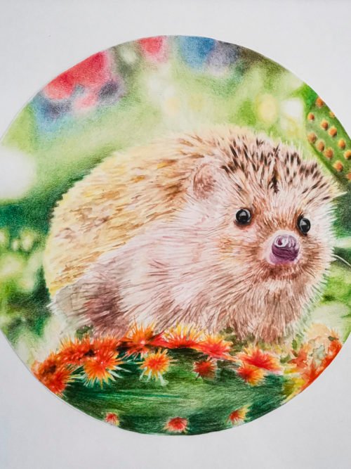 Happy Hedgehog det