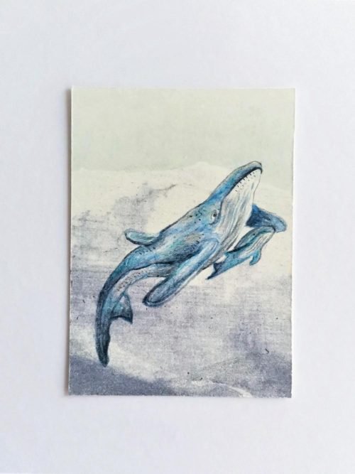Mother-&-baby-whale-Aceo