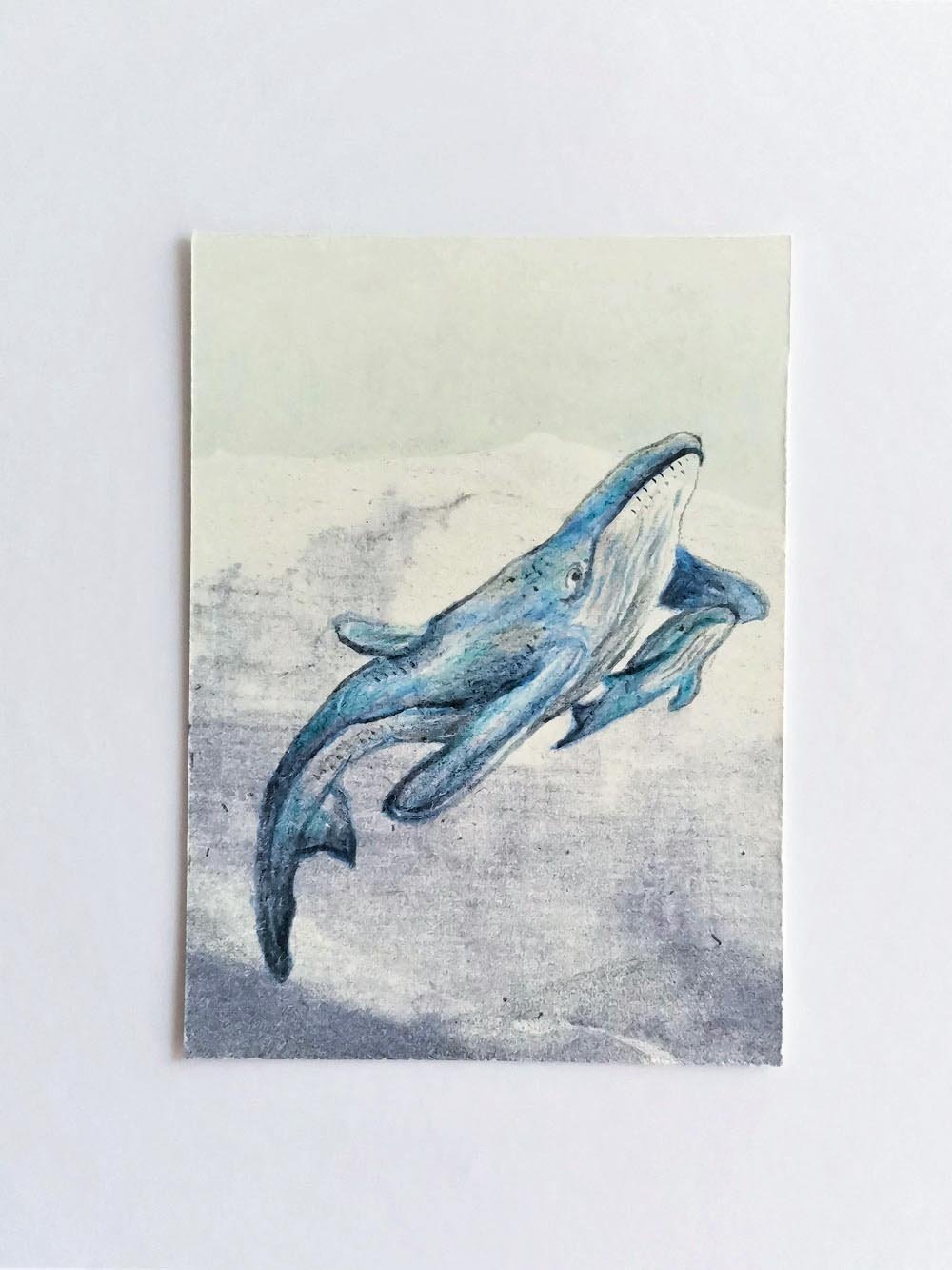 Mother-&-baby-whale-Aceo