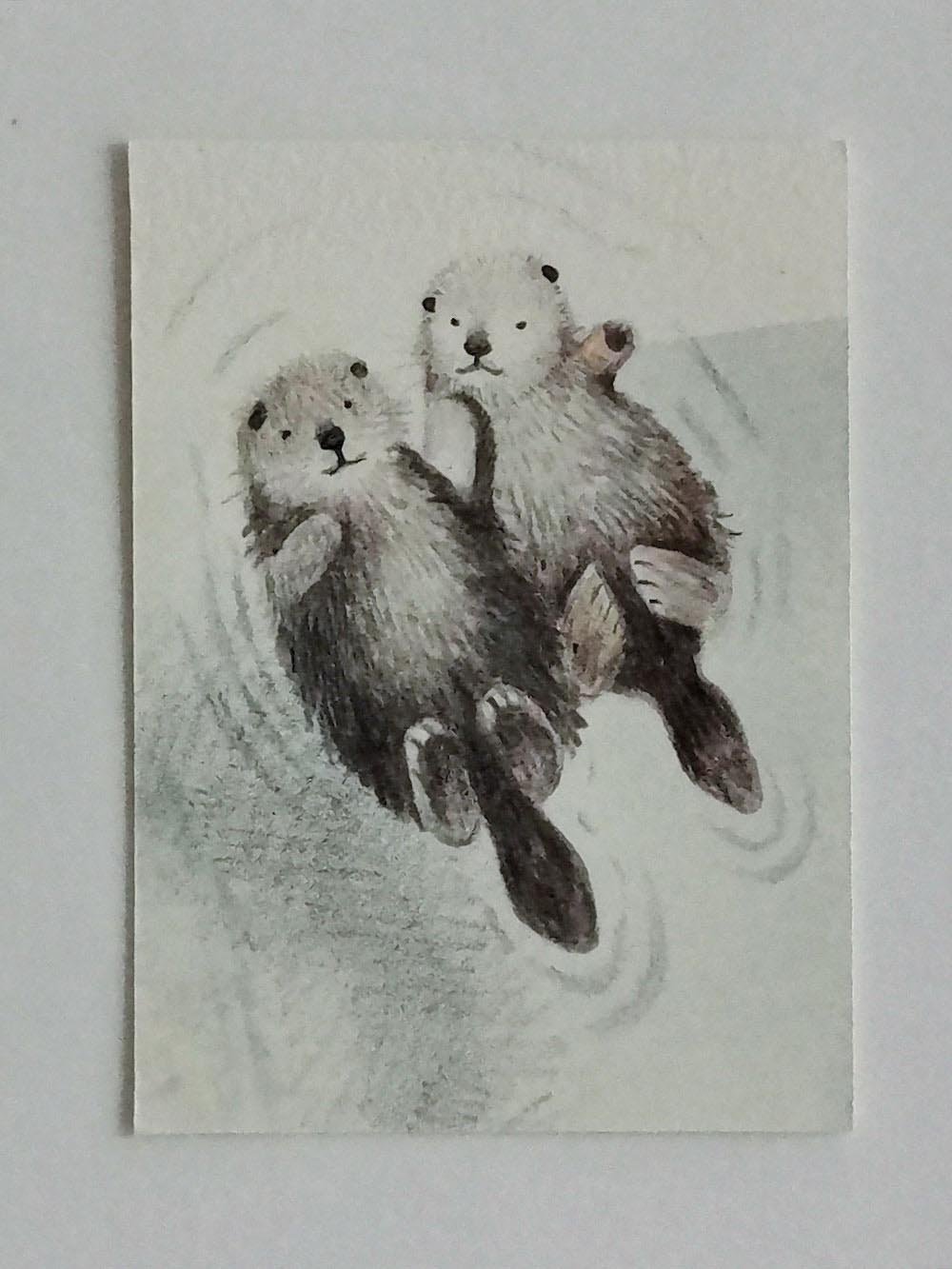 Otters-aceo
